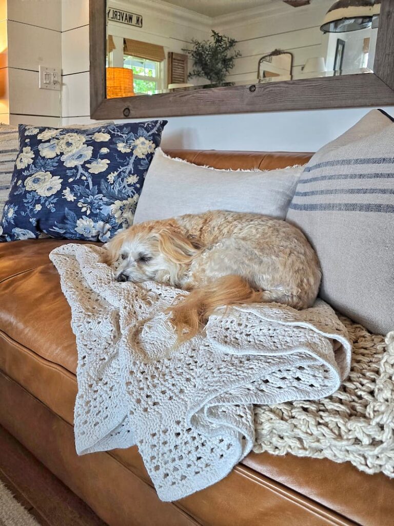 Ollie the cream colored dog sleeping on the leather couch in the cottage living room