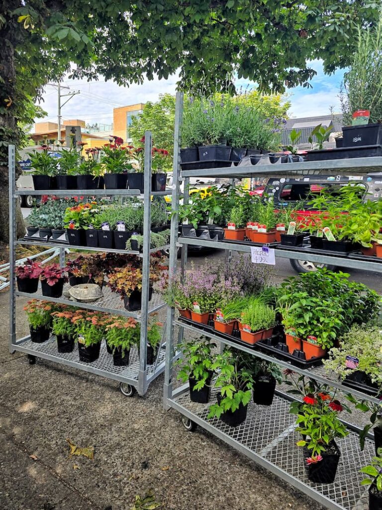 Exterior of Seaberry Garden flower shop in Victoria BC with plants on shelves for sale