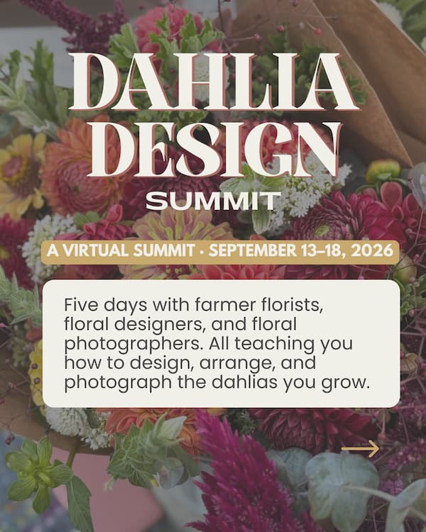Dahlia Design Summit promotional graphic — a virtual summit September 13 through 18, 2026 featuring farmer florists floral designers and floral photographers teaching how to design arrange and photograph dahlias