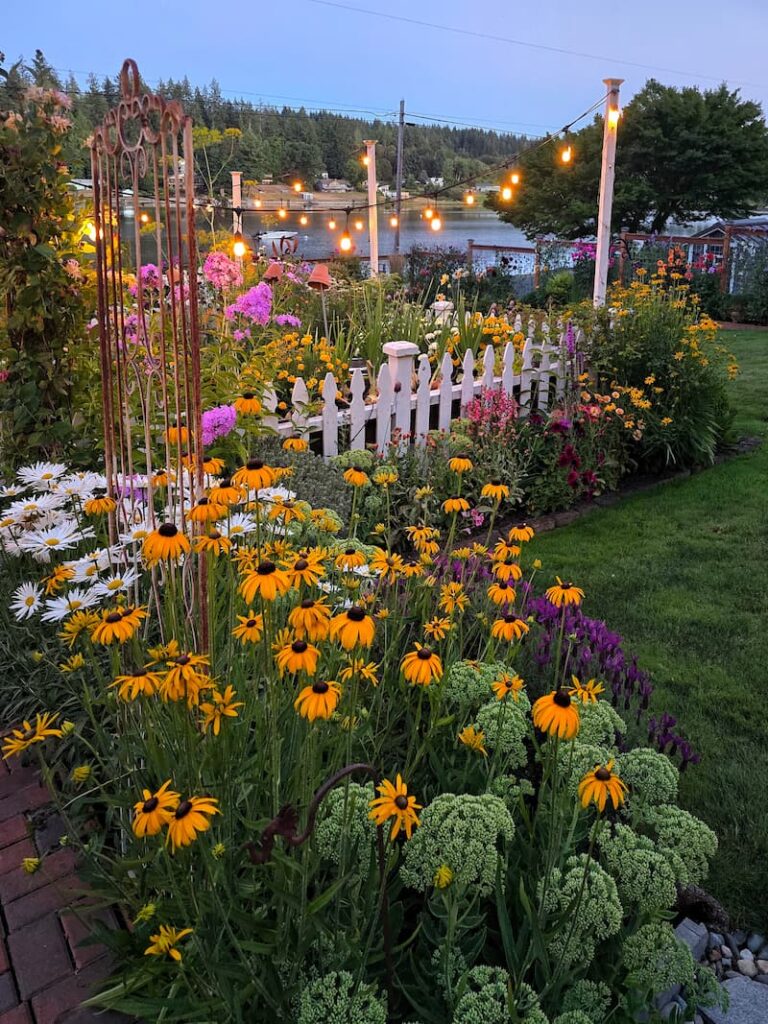 cottage garden at dusk with bistro lights and white picket fence