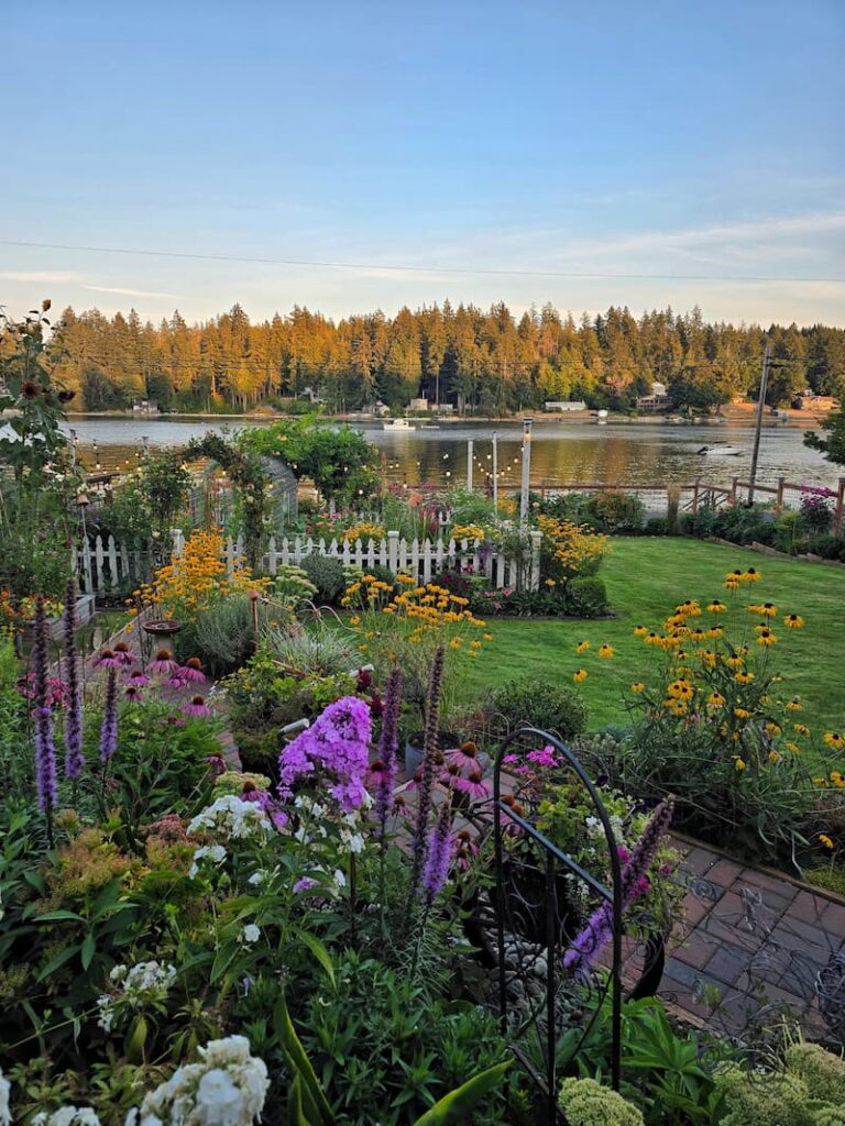 Cottage garden with a view of Puget Sound bay in mid August