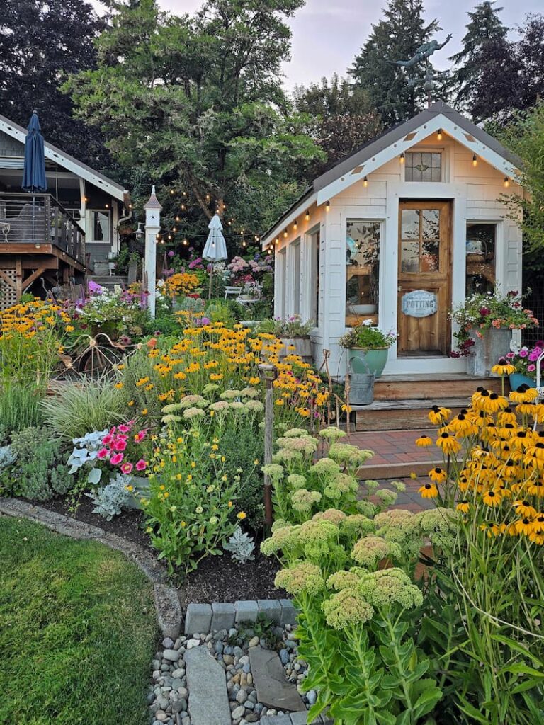 Cottage garden and greenhouse in mid August at a 1920 beach cottage on Puget Sound