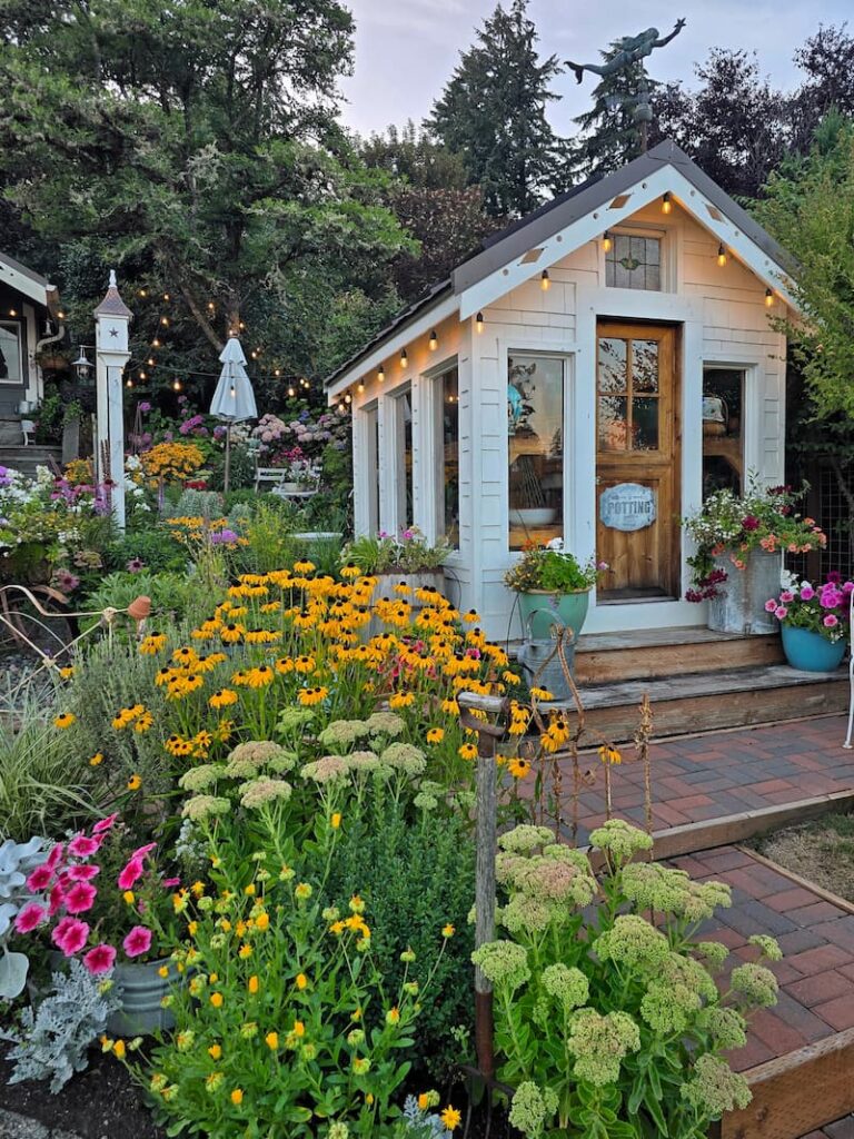 Late summer cottage garden and greenhouse at a Pacific Northwest beach cottage
