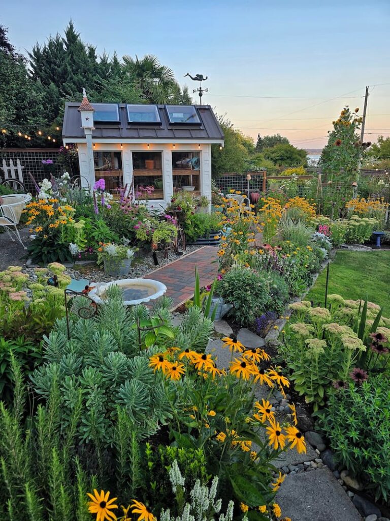 Cottage garden and greenhouse view in mid August on Puget Sound