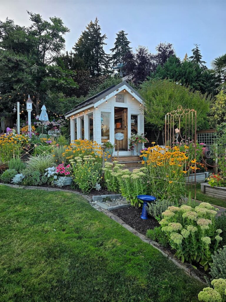 Mid August view of cottage garden beds and greenhouse in the Pacific Northwest