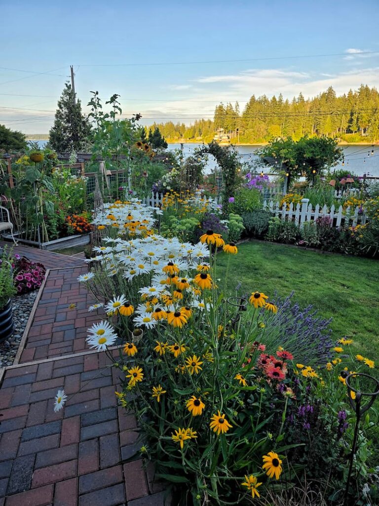 pathway through a Pacific Northwest cottage garden with summer blooms