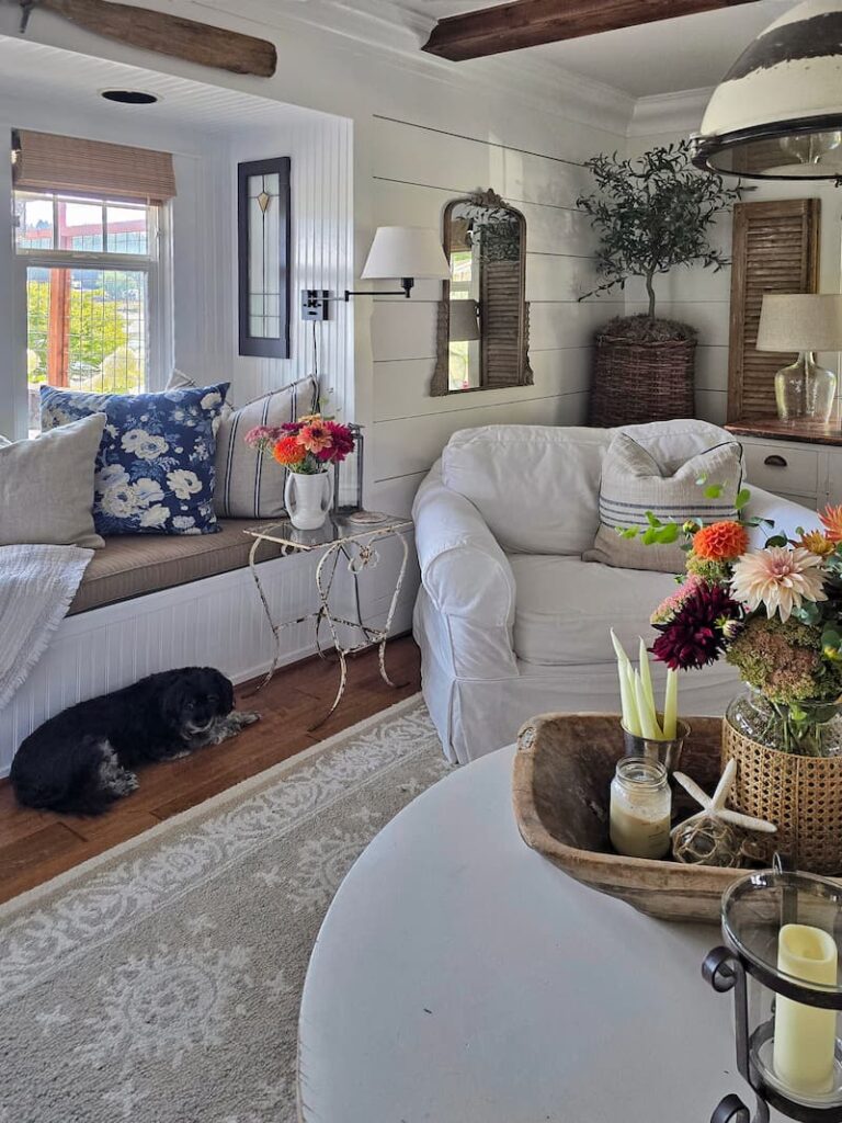 Jax the dog in the cottage living room at a 1920 beach cottage on Puget Sound