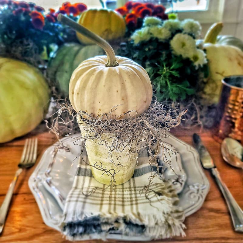 terra cotta pot with moss and white pumpkin on top of a plaid napkin and white dishes