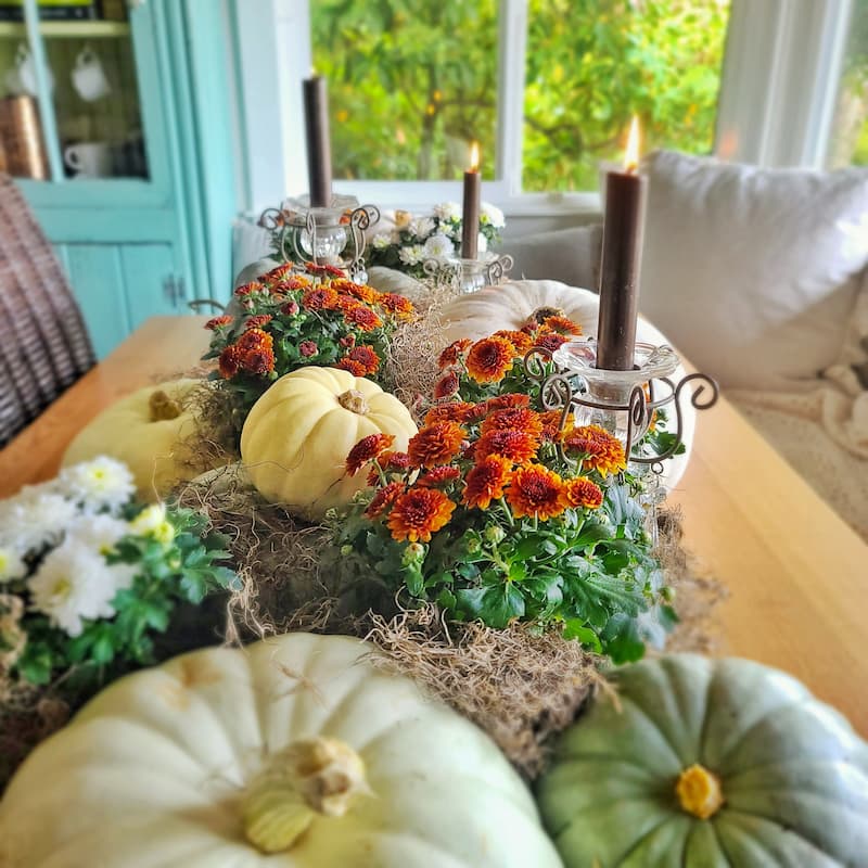 pumpkin and mum fall table ideas