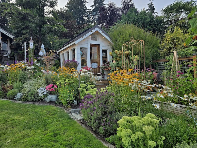 Cottage greenhouse and summer garden view at a Pacific Northwest beach cottage