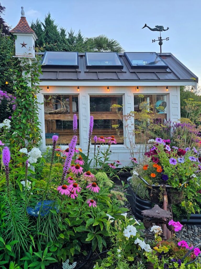 Side view of a cottage greenhouse surrounded by summer garden flowers