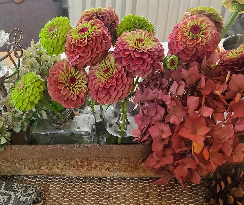 green and pink zinnias and pink hydrangeas