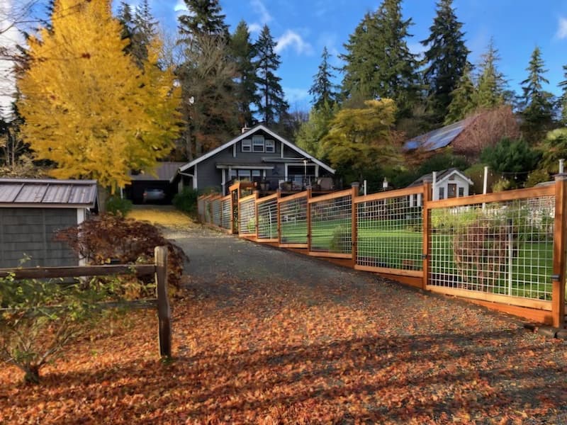 Fall leaves layered around plants in a Pacific Northwest cottage garden