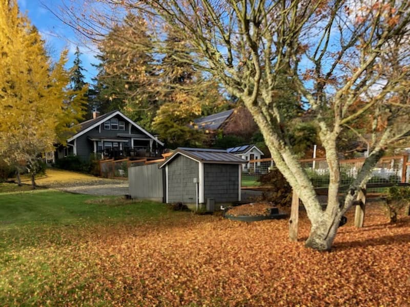 Fallen leaves scattered across a cottage garden bed in fall