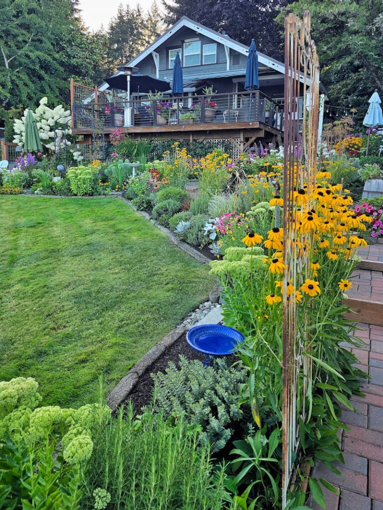 Summer cottage garden in full bloom alongside a 1920 beach cottage in the Pacific Northwest