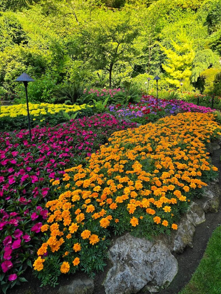The Sunken Garden at Butchart