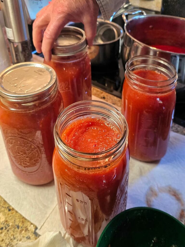 Jars of freshly canned homegrown tomatoes from a Pacific Northwest cottage garden in September