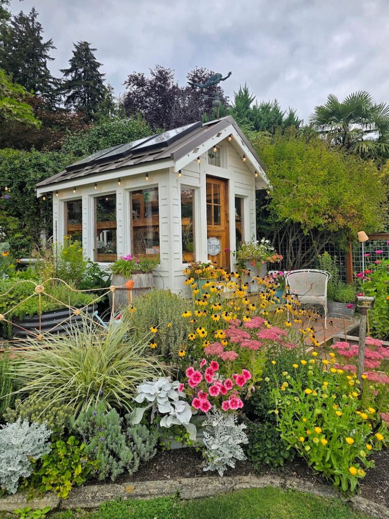 greenhouse and cottage garden in late summer
