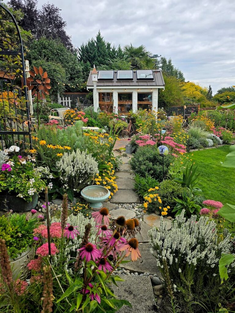 greenhouse side view with coneflowers, white heather, sedum autumn joy, and black-eyed Susans