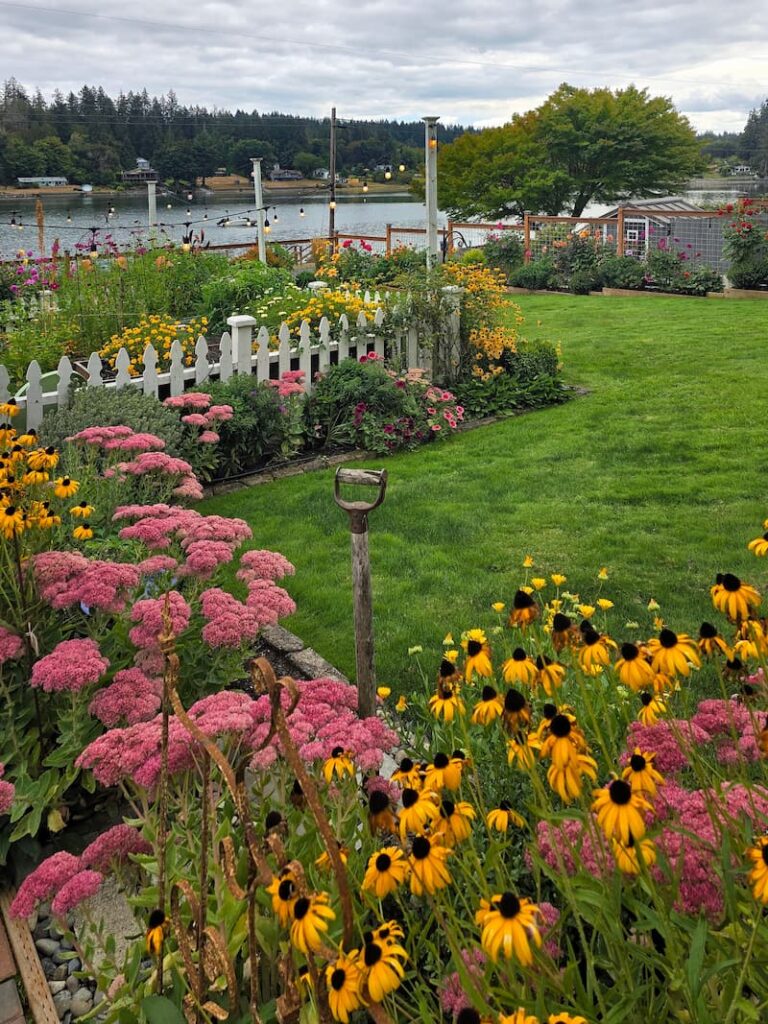 cottage garden in late summer 