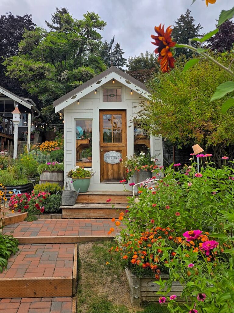 Cottage garden pathway lined with fall blooms in September at a 1920 beach cottage