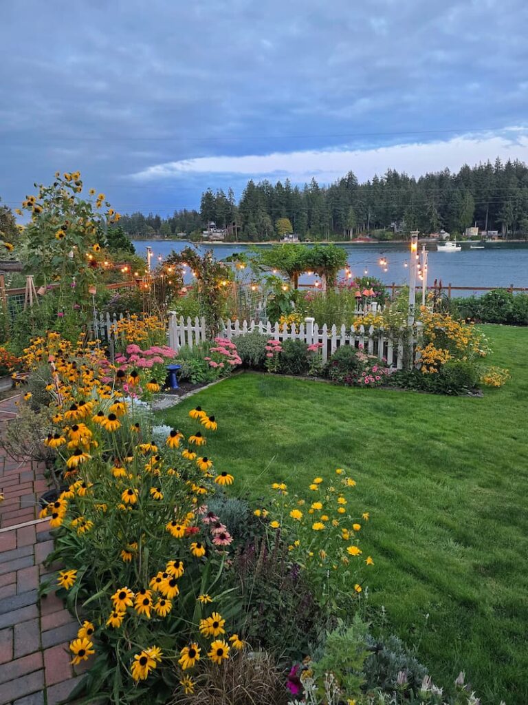 late summer cottage garden overlooking the bay