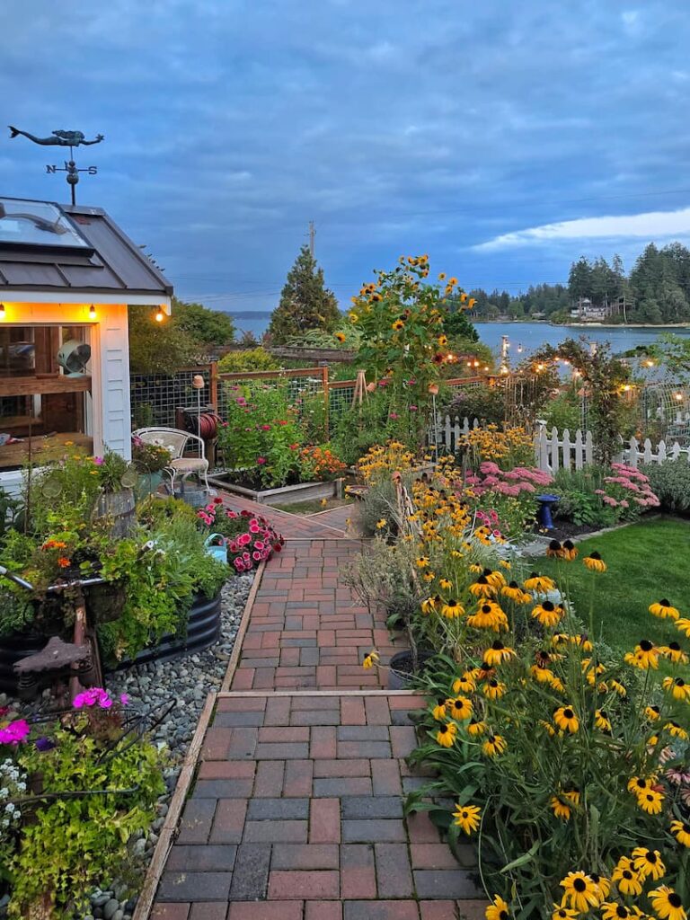 late summer cottage garden pathway with black-eyed Susans bordering overlooking the bay