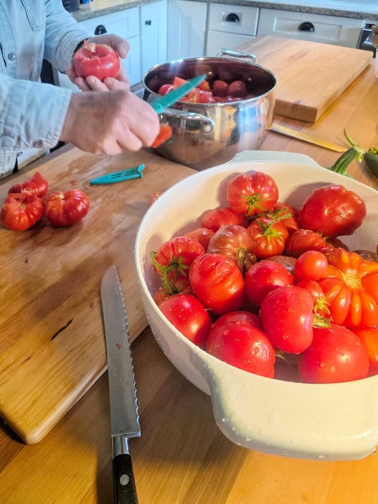 Fresh homegrown tomatoes from a Pacific Northwest cottage garden ready for canning