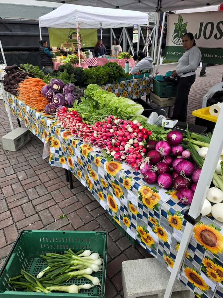 Locally grown vegetables at a farm booth at the Anacortes Farmers Market