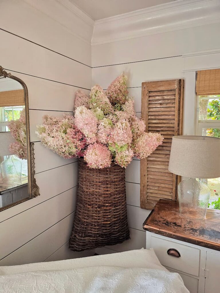 Panicle hydrangeas arranged in a vintage basket with hidden mason jars for drying at a Pacific Northwest beach cottage