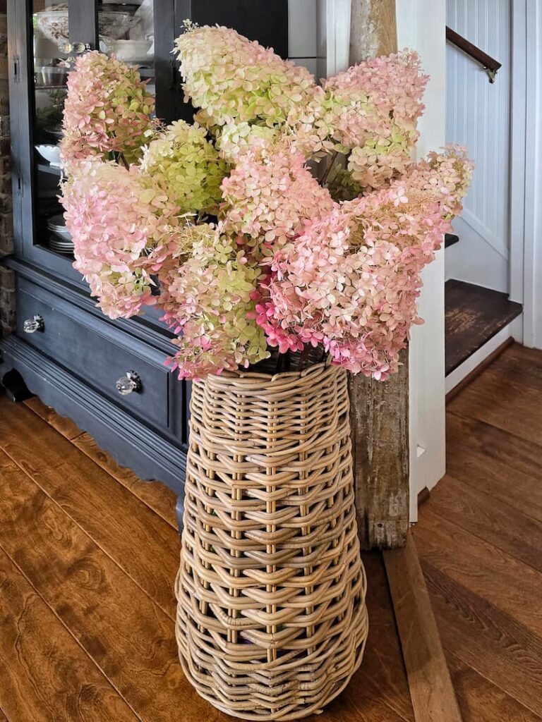 Cream, green, and rose panicle hydrangeas drying in a basket with mason jars in a 1920 beach cottage on Puget Sound