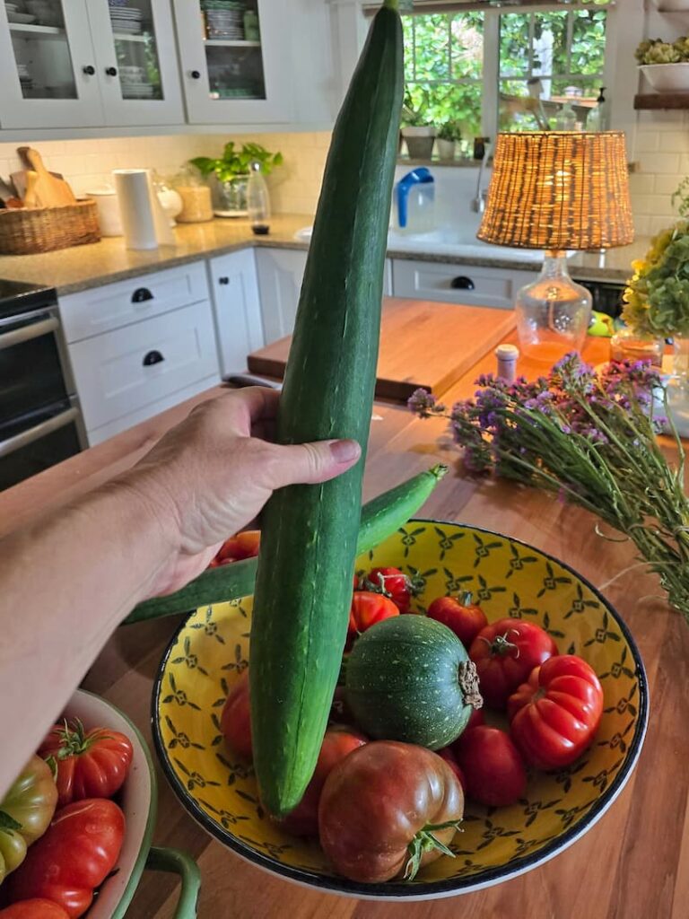 Fresh homegrown tomatoes and loofah harvested from the garden