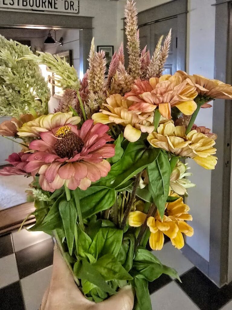 Late summer cut flower harvest including zinnias celosia yarrow and strawflower from a Pacific Northwest cottage garden