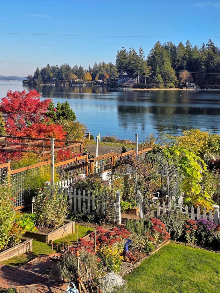View from the deck of the fall garden and Puget Sound in late October