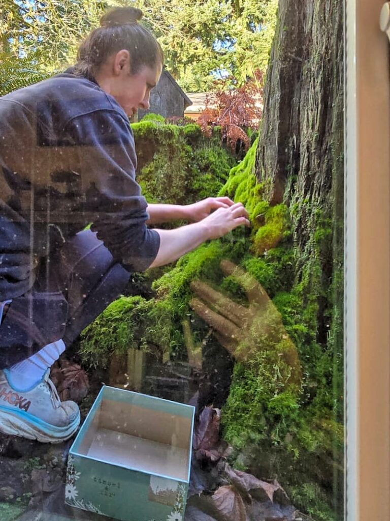 Garden helper pulling moss off a backyard tree to use as natural Christmas decor