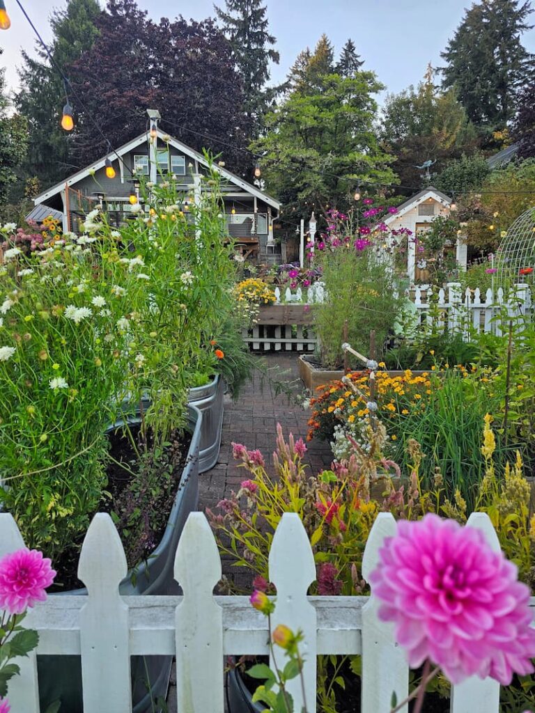 Cut flower garden beds winding down in fall