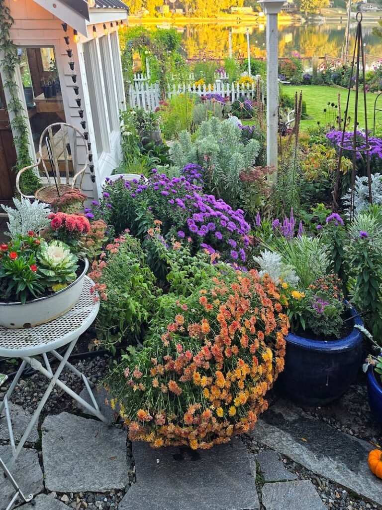 Fall containers on a stone patio with toppled mums