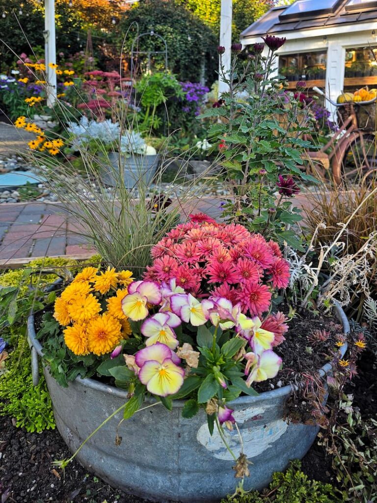Fall flowers and small pumpkins in a vintage galvanized bucket