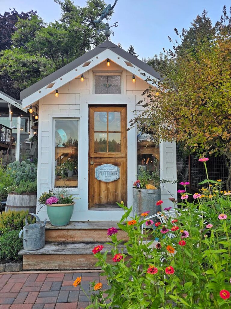 Greenhouse surrounded by raised beds of zinnias in fall