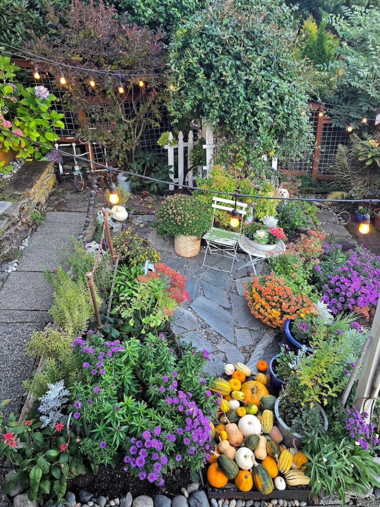 Overhead view of the stone patio with flower containers and pumpkins